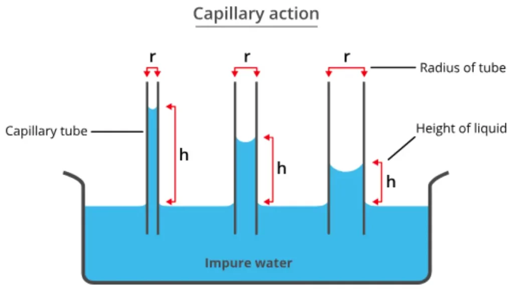 Capillary action is the process of a liquid flowing in a narrow space without the assistance of, or even in opposition to, any external forces like gravity.