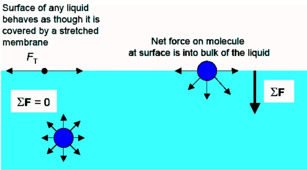 Surface Tension Formula