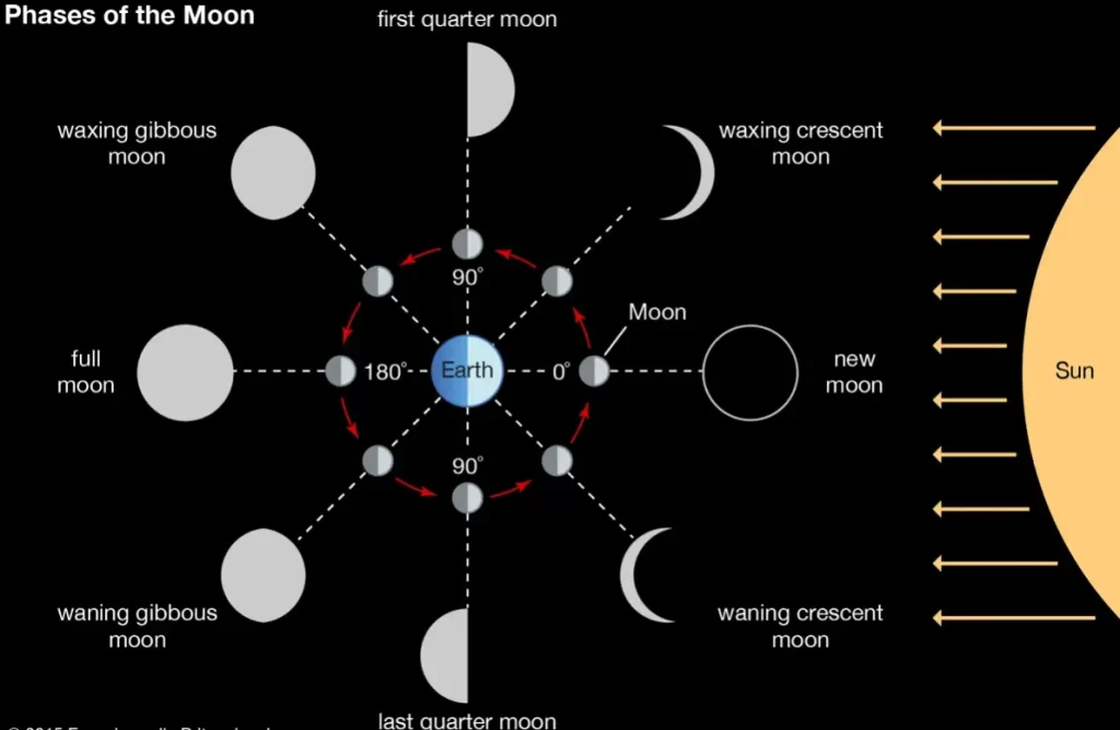 Phases of the moon