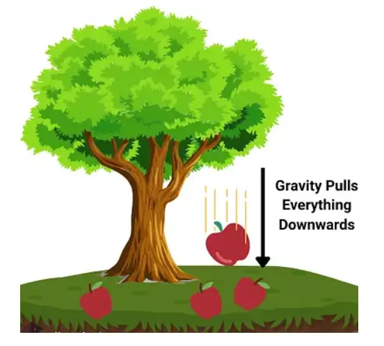 gravity in the realm of physics