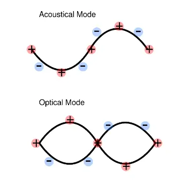 Acoustic Phonons Optical Phonons