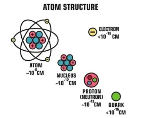 What is a Nucleus- Structure and Function